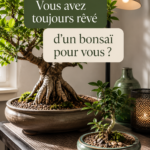 Un bonsaï bien entretenu sur une table en bois apportant une touche zen à un intérieur lumineux.