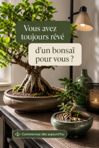 Un bonsaï bien entretenu sur une table en bois apportant une touche zen à un intérieur lumineux.