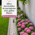 Aménagement paysager moderne avec pierres blanches dans un jardin