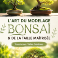 Un magnifiques bonsaï taillé en forme harmonieuse sur une table en bois.
