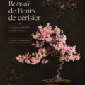 Bonsaï cerisier avec des fleurs roses épanouies sur une table en bois.