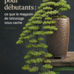 Un joli bonsaï dans un pot sur une table en bois, lumineux et accueillant.