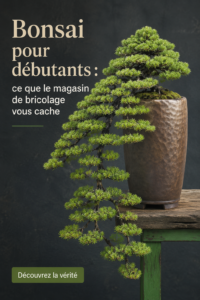 Un joli bonsaï dans un pot sur une table en bois, lumineux et accueillant.
