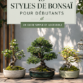 Un bonsai miniature en pot, représentant un style classique, sur une table en bois.