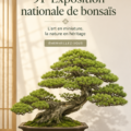 Bonsaïs exposés lors de l'exposition de 2017, mettant en avant leur beauté unique et leur art de culture.