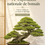 Bonsaïs exposés lors de l'exposition de 2017, mettant en avant leur beauté unique et leur art de culture.