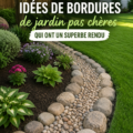Bordures de jardin colorées et économiques embellissant un espace vert.