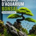 Un aquarium bonsaï élégant avec des plantes aquatiques et des éléments naturels.