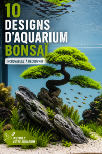 Un aquarium bonsaï élégant avec des plantes aquatiques et des éléments naturels.