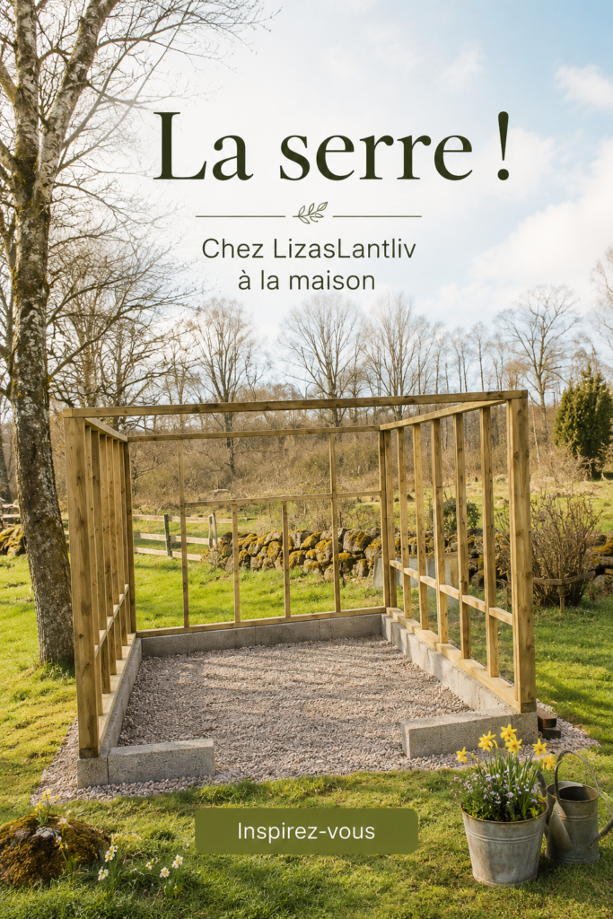 Une photo d'un joli jardin d'intérieur lumineux avec des plantes variées.