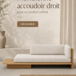 Un élégant jour de canapé plateau à bras droit dans un salon moderne.