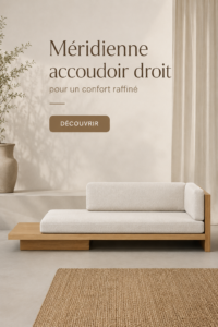Un élégant jour de canapé plateau à bras droit dans un salon moderne.