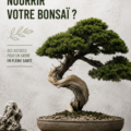 Un bonsaï bien entretenu sur une table, symbolisant le bon soin des plantes.