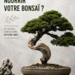 Un bonsaï bien entretenu sur une table, symbolisant le bon soin des plantes.