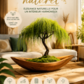 Décoration intérieure avec des plantes en bois flotté et une ambiance naturelle