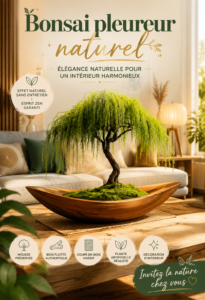 Décoration intérieure avec des plantes en bois flotté et une ambiance naturelle