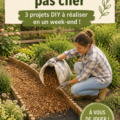 Une allée de jardin en gravier bien entretenue avec des plantes colorées de chaque côté.