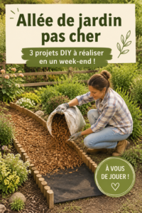 Une allée de jardin en gravier bien entretenue avec des plantes colorées de chaque côté.