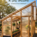Serre à toit incliné dans un jardin luxuriant