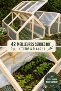 Serre DIY en bois dans un jardin avec des plantes variées