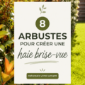 Haie brise-vue réalisée avec des arbustes denses et variés dans un jardin