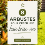 Haie brise-vue réalisée avec des arbustes denses et variés dans un jardin