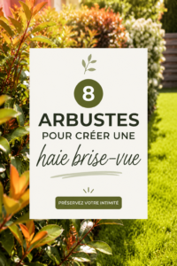 Haie brise-vue réalisée avec des arbustes denses et variés dans un jardin