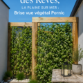 Brise vue végétal riche en plantes vertes dans un jardin