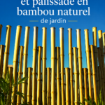 Clôture en bambou dans un jardin fleuri, ajoutant une touche naturelle.