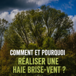 Haie brise-vent dans un jardin verdoyant, protégeant un espace extérieur.
