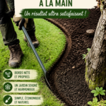 Bordure de jardin bien entretenue avec des fleurs colorées