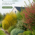 Une haie vive bien entretenue dans un jardin, apportant de la verdure et de la couleur.