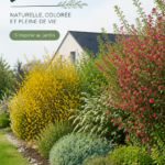 Une haie vive bien entretenue dans un jardin, apportant de la verdure et de la couleur.