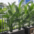 Balcon décoré avec des plantes brise-vue pour une ambiance intime.