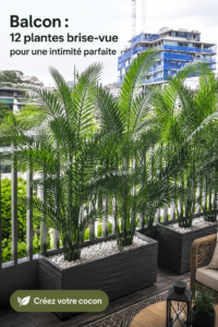 Balcon décoré avec des plantes brise-vue pour une ambiance intime.
