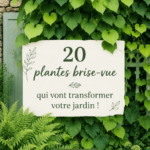 Jardin avec une variété de plantes brise-vue luxuriantes