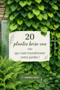 Jardin avec une variété de plantes brise-vue luxuriantes
