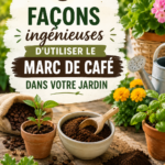 Un jardin verdoyant avec des plantes nourries au marc de café, illustrant des conseils écologiques.