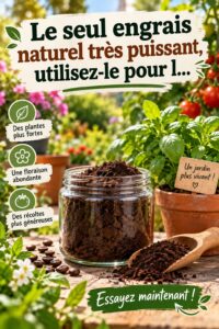Un jardin luxuriant avec des plantes florissantes, illustrant l'impact d'un engrais naturel puissant.