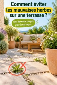 Terrasse propre et bien entretenue sans mauvaises herbes