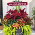 Jardin décoré avec des fleurs colorées et des meubles en bois, évoquant un espace accueillant.