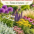 Massif de fleurs colorées avec plusieurs variétés dans un jardin