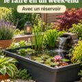 Bassin de jardin créatif sans creusage, avec plantes aquatiques et déco extérieure