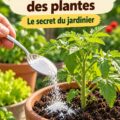 Plantes verdoyantes dans un jardin, cultivées grâce à une méthode d'accélération de la croissance.
