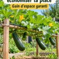 Un jardin vertical avec des courgettes poussant sur un treillis, illustrant l'économie d'espace en jardinage.
