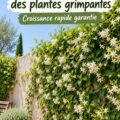 Mur verdoyant couvert de plantes grimpantes