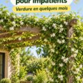 Jardin avec plusieurs plantes grimpantes à croissance rapide, ajoutant une touche de verdure.