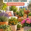Terrasse élégante décorée de plantes en pots pour chaque saison