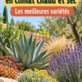Un jardin avec diverses plantes résistantes à la chaleur et à la sécheresse.