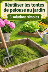 Un jardin fleuri avec des tontes de pelouse utilisées comme paillis pour les plantes.
